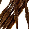 Bumpy Chenille - Brown - Bumpy Chenille Stems - Bumpy Pipe Cleaners